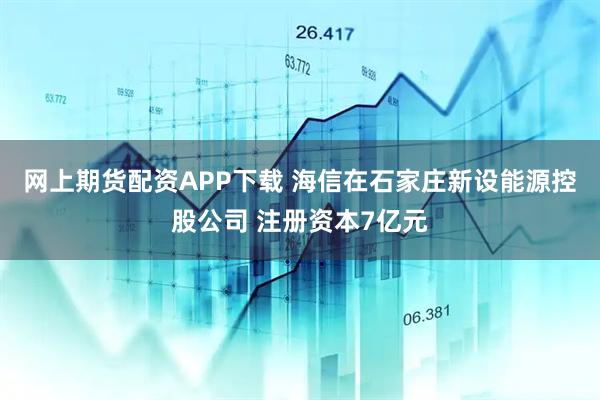 网上期货配资APP下载 海信在石家庄新设能源控股公司 注册资本7亿元
