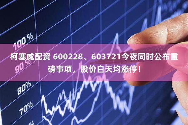 柯塞威配资 600228、603721今夜同时公布重磅事项，股价白天均涨停！